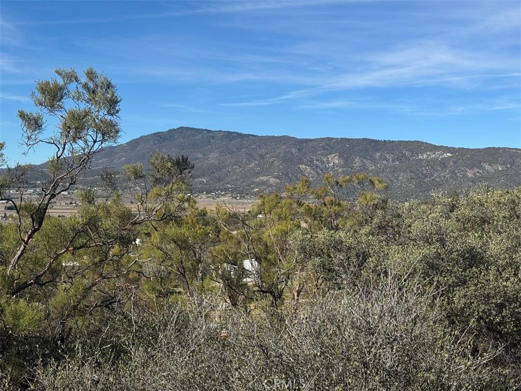 0 Wellman Road Anza, CA 92539 - Photo 9 of 16 a view of a dry yard with mountains in the background