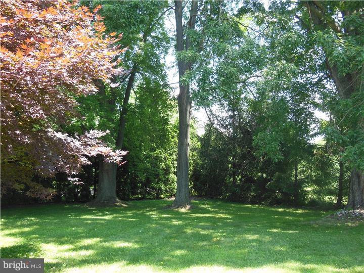 374 White Pine Road Columbus, NJ 08022 - Photo 3 of 20 Gallery Image 3