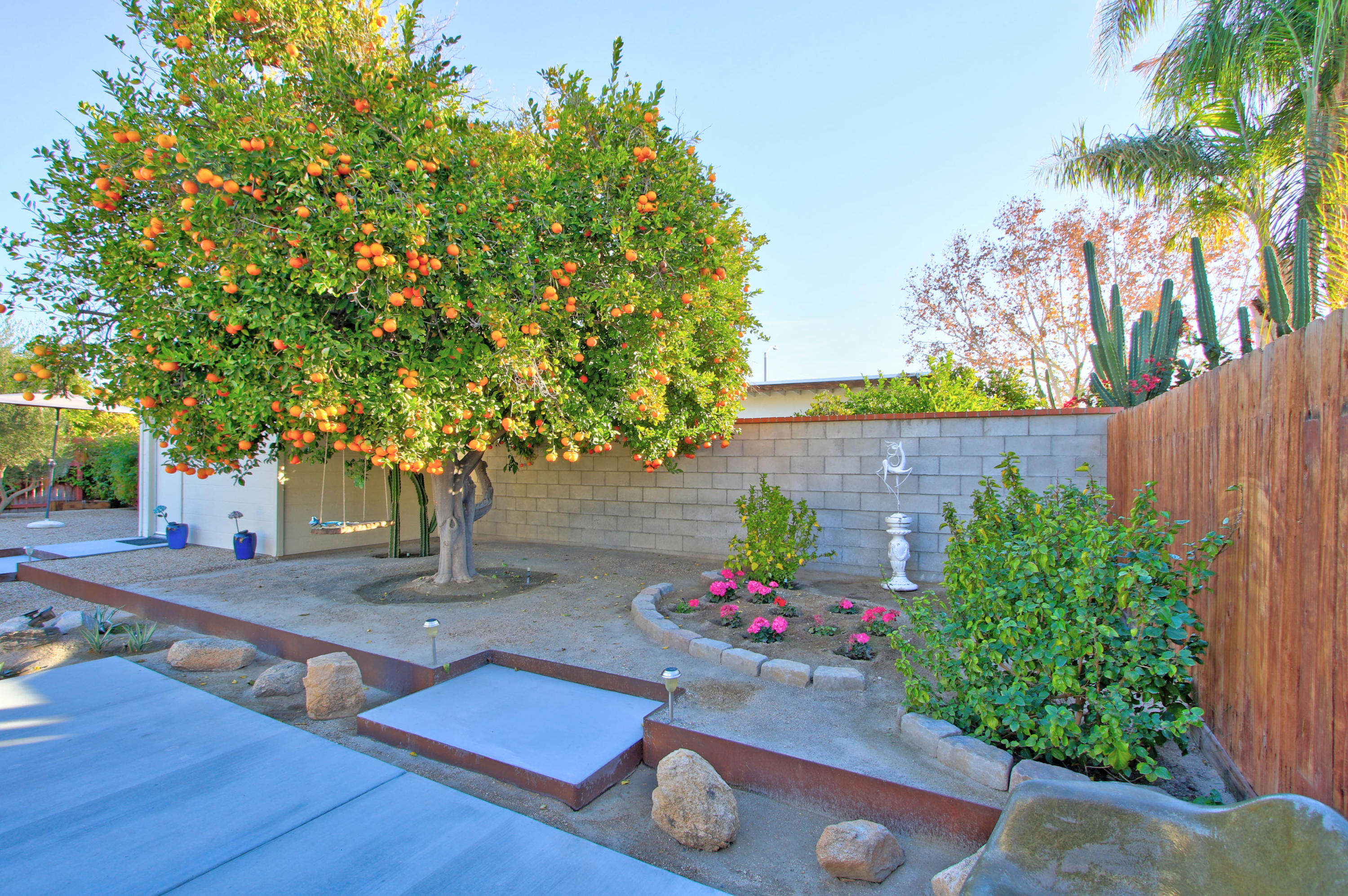 71876 Vista Del Rio Rancho Mirage, CA 92270 - Photo 40 of 53 TANGERINES ANY ONE?