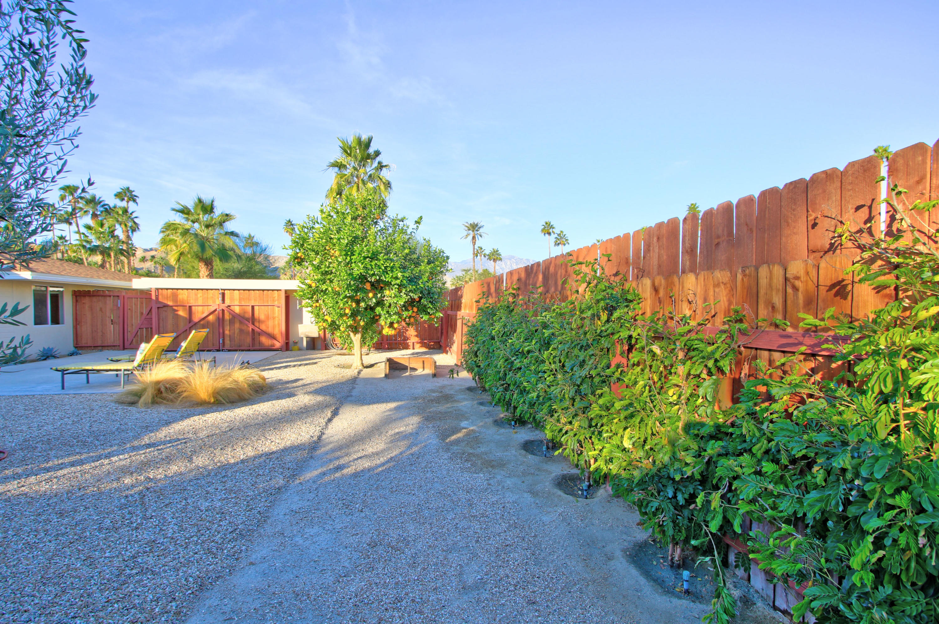 71876 Vista Del Rio Rancho Mirage, CA 92270 - Photo 46 of 53 PRIVACY OUTDOORS