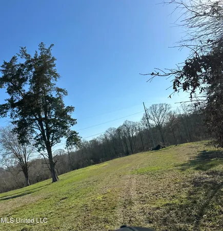 $319,000 | 0 Chichester Road, Edwards, MS 39066