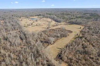 $319,000 | 0 Chichester Road, Edwards, MS 39066