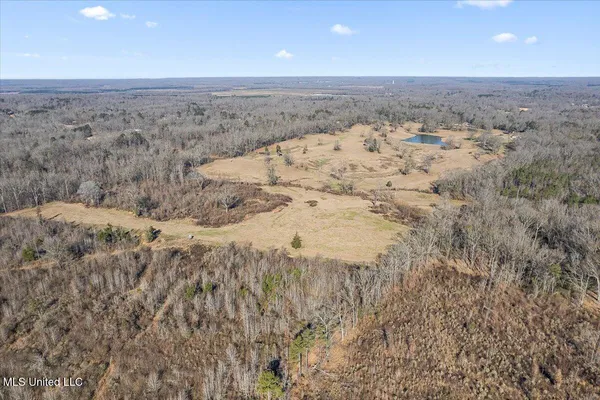 $319,000 | 0 Chichester Road, Edwards, MS 39066