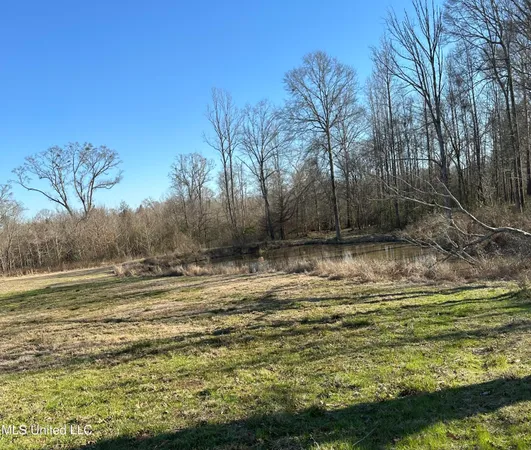 $319,000 | 0 Chichester Road, Edwards, MS 39066