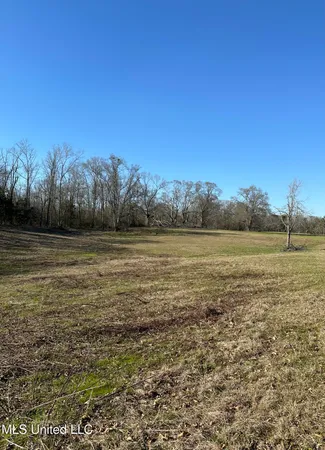 $319,000 | 0 Chichester Road, Edwards, MS 39066