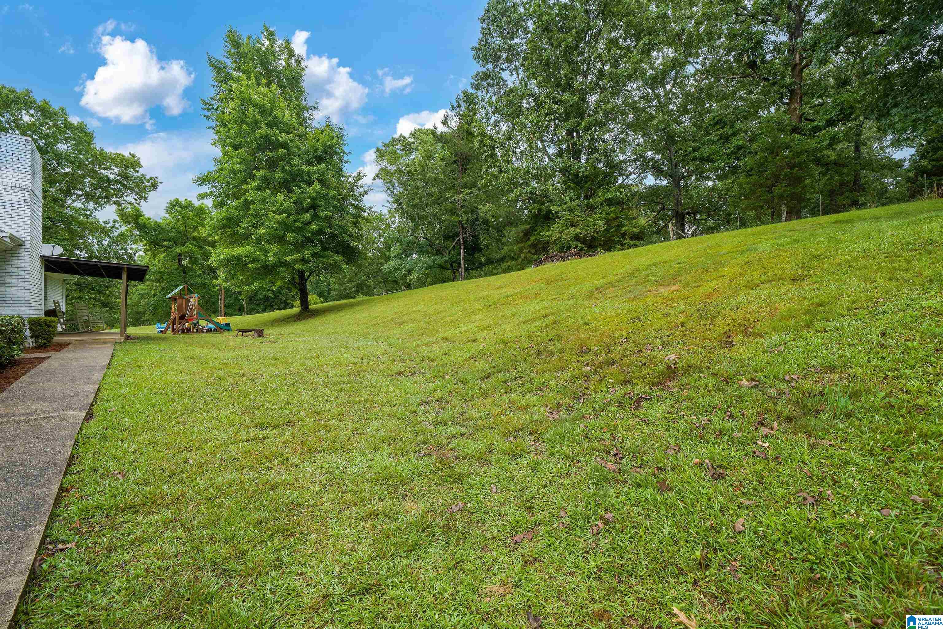 3552 Red Valley Road Remlap, AL 35133 - Photo 25 of 25