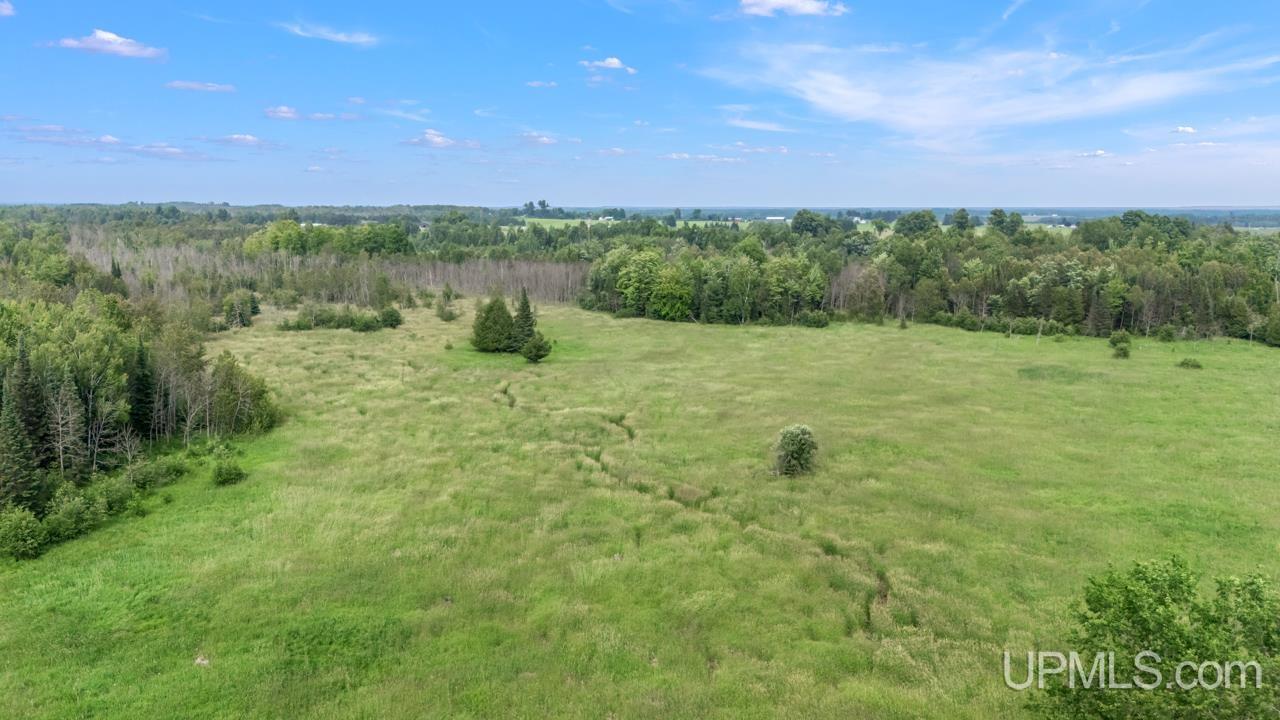 Tbd Tbd Delta Menominee C Road Bark River, MI 49807 - Photo 11 of 13