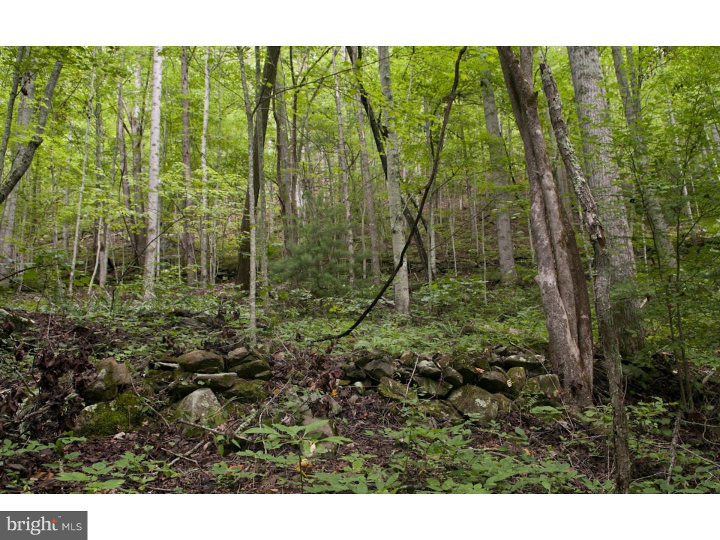 Lot 4 Back Road Barnesville, PA 18214 - Photo 1 of 1 Gallery Image 1