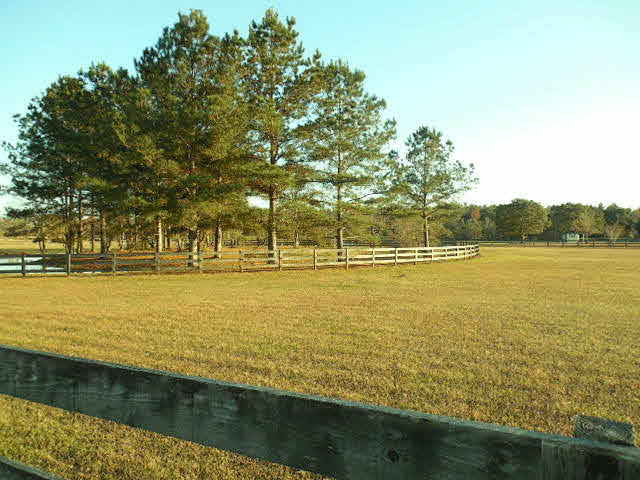 16464 Danne Road Fairhope, AL 36532 - Photo 9 of 14