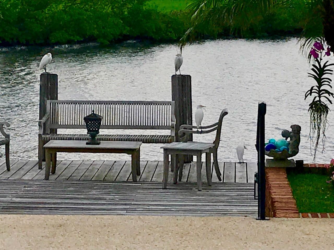 568 Island Drive Palm Beach, FL 33480 - Photo 29 of 34 a view of outdoor space with seating area