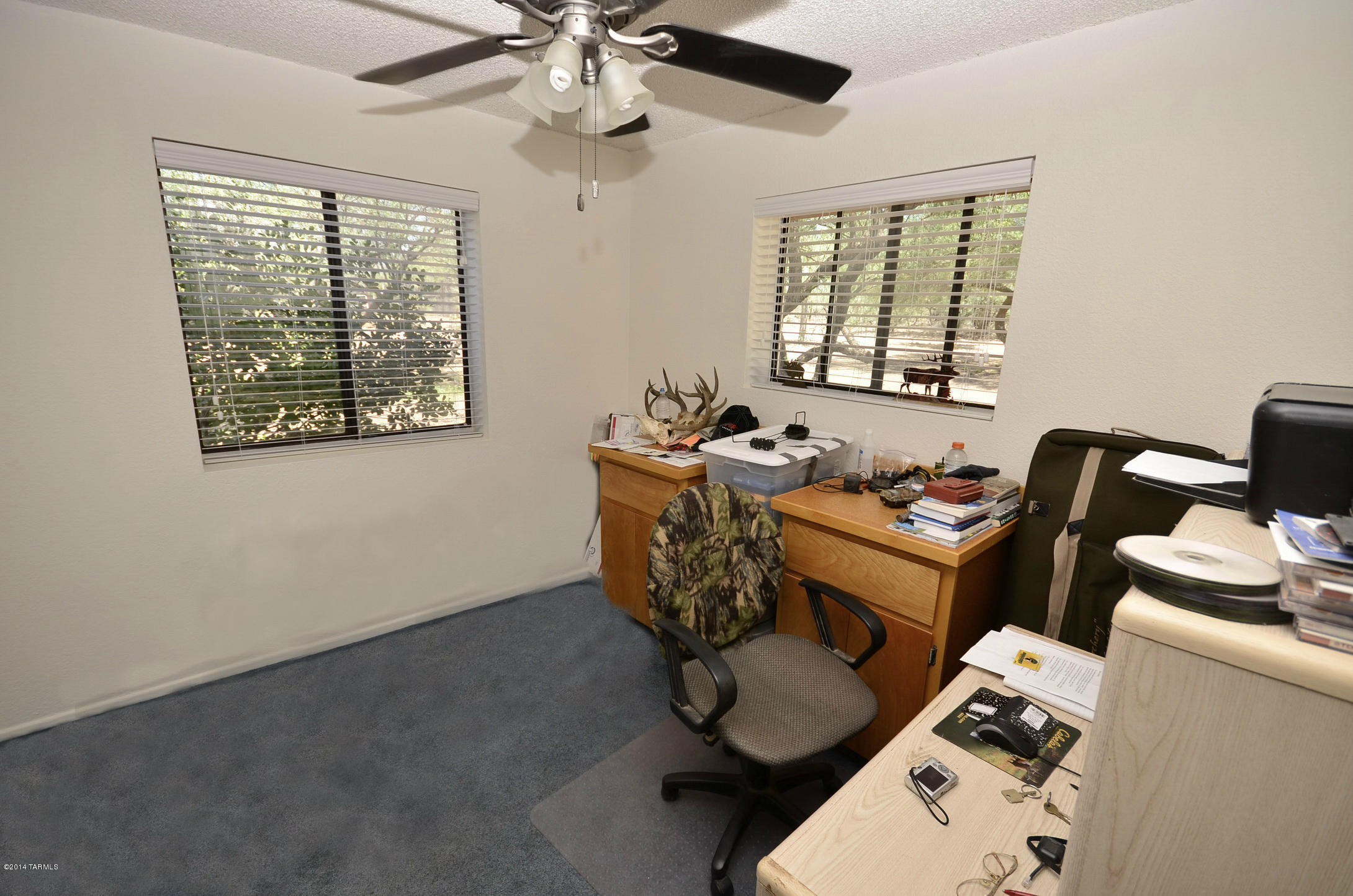 5454 East Edwin Road Tucson, AZ 85739 - Photo 21 of 31 Gallery Image 21