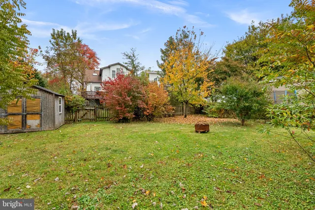 a view of a field with some trees