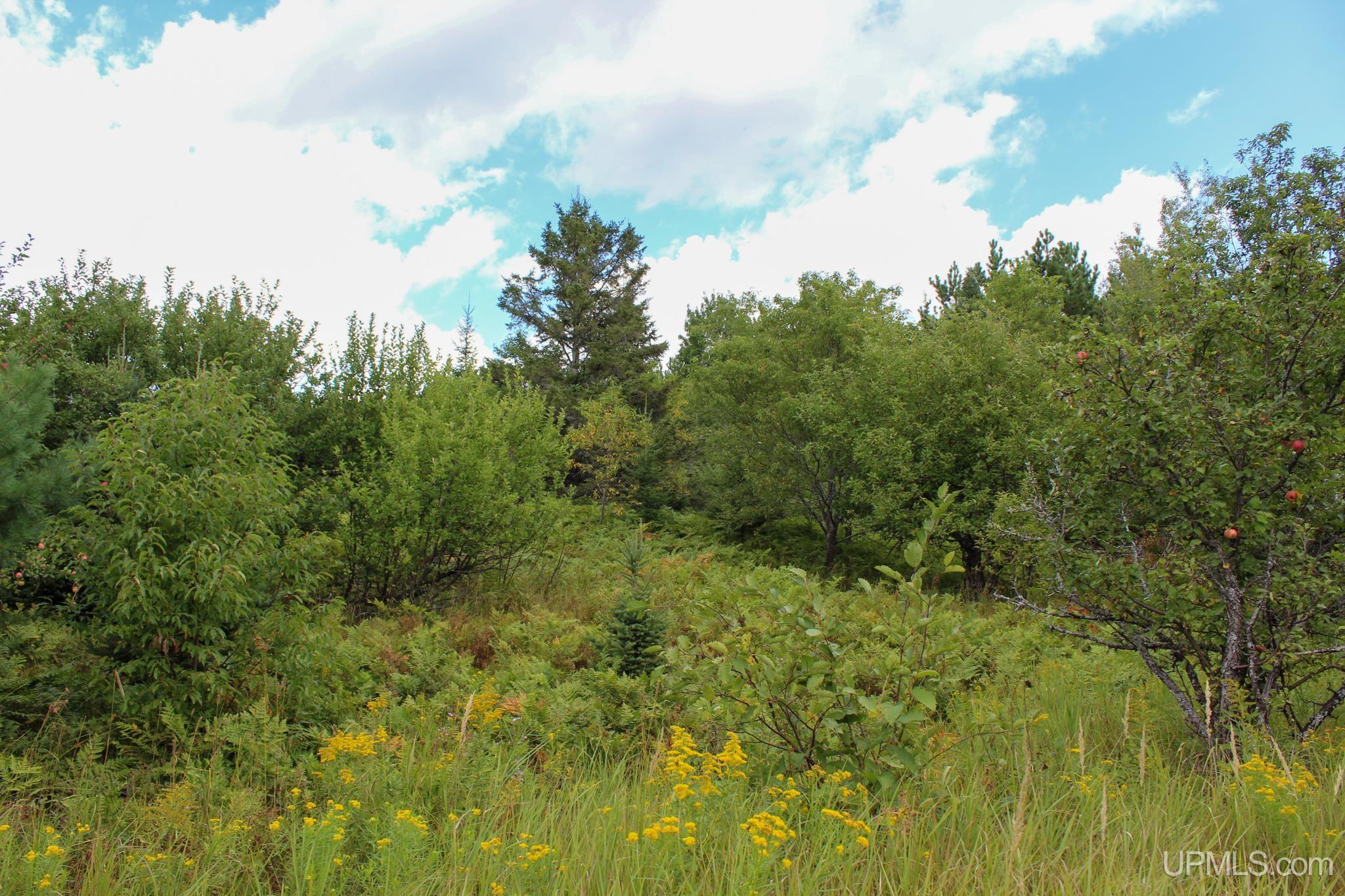 Tbd Michaelson Road Pelkie, MI 49958 - Photo 44 of 73 Gallery Image 44