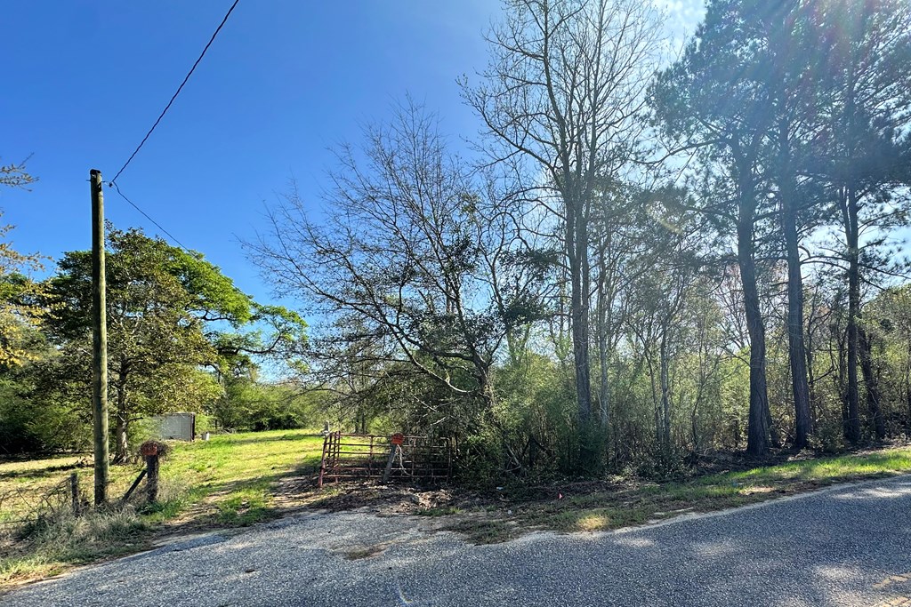 0 Lonnie Road Slocomb, AL 36375 - Photo 5 of 7