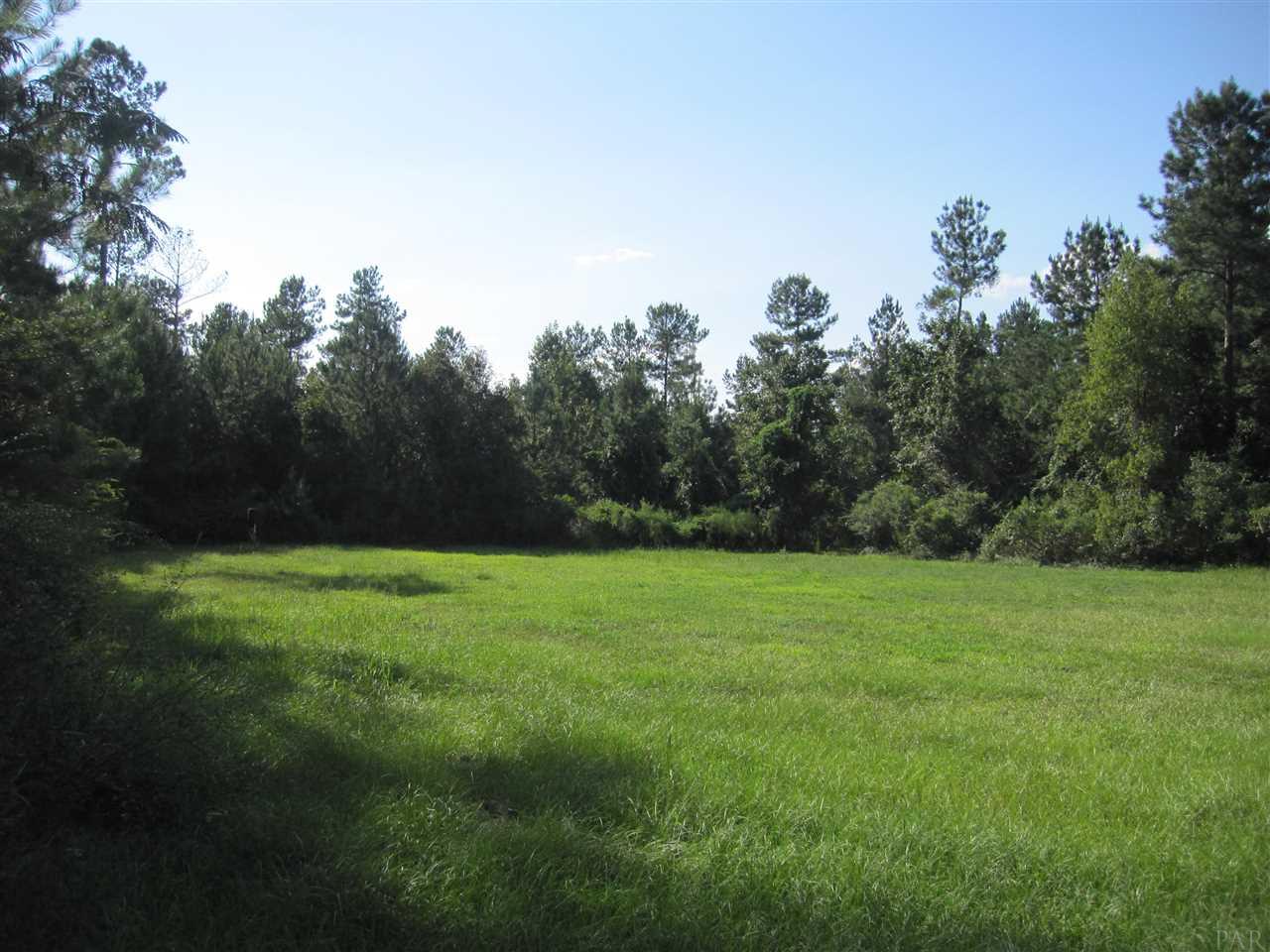7080 Whitfield Road Milton, FL 32570 - Photo 3 of 31 Gallery Image 3
