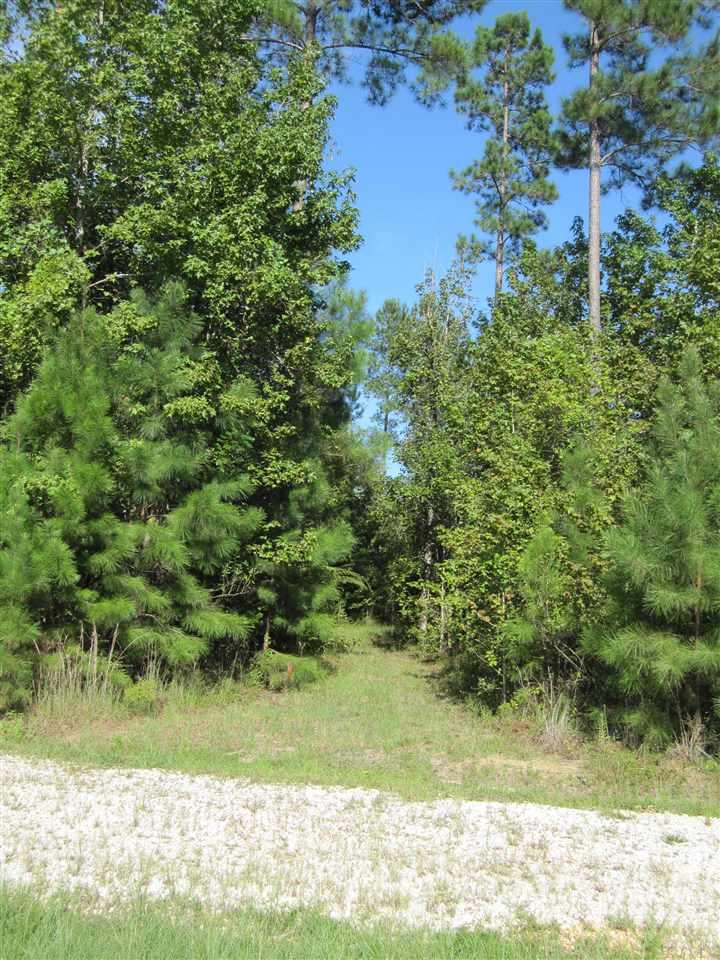 7080 Whitfield Road Milton, FL 32570 - Photo 5 of 31 Gallery Image 5