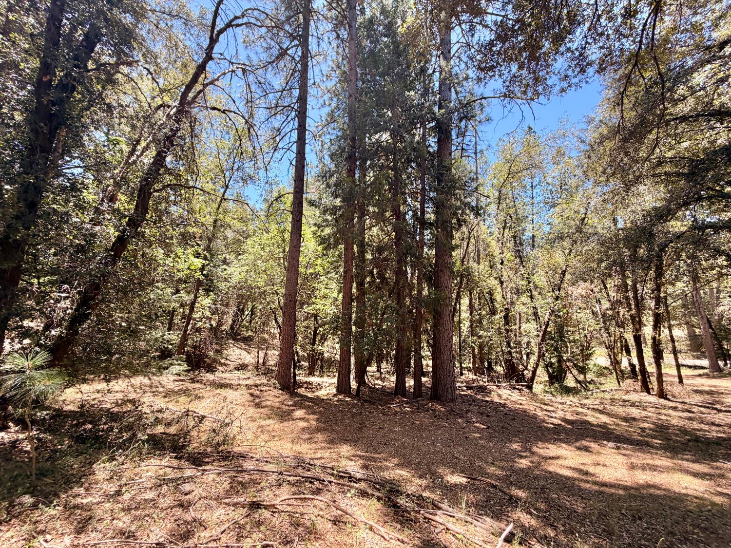 16404 Greenhorn Road Grass Valley, CA 95945 - Photo 9 of 25
