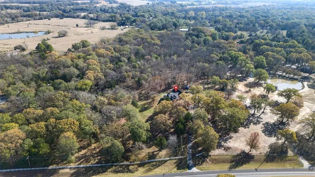 a view of a forest with a lush green forest