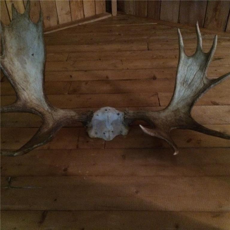 99 Bridge Road Parkman, ME 04443 - Photo 17 of 25 the one that didn't het away