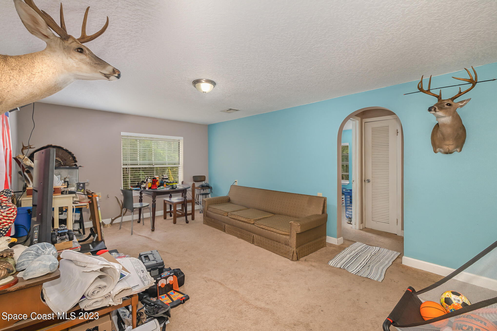 1826 Lemay Drive Northeast Palm Bay, FL 32905 - Photo 14 of 31 a living room with furniture and a window