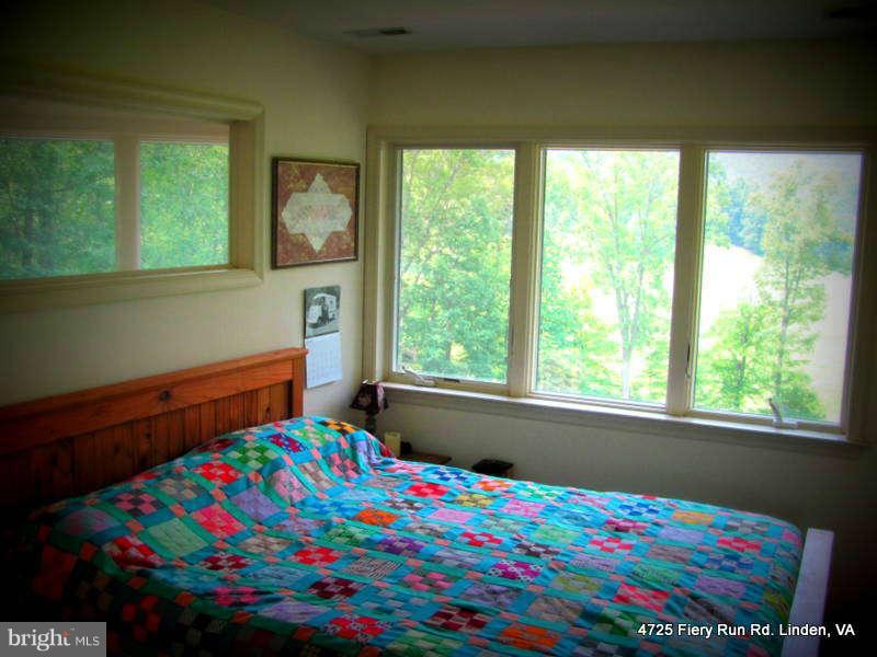 4725 Fiery Run Road Linden, VA 22642 - Photo 13 of 30 Bedroom (Master)