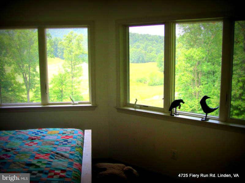 4725 Fiery Run Road Linden, VA 22642 - Photo 14 of 30 Bedroom (Master)