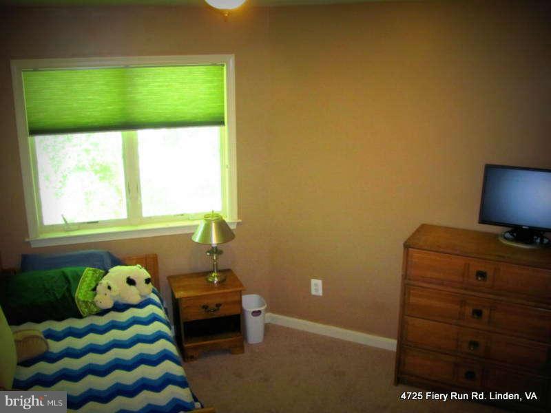 4725 Fiery Run Road Linden, VA 22642 - Photo 18 of 30 Bedroom