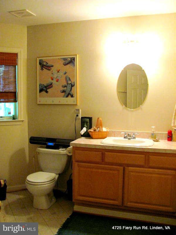 4725 Fiery Run Road Linden, VA 22642 - Photo 19 of 30 Basement