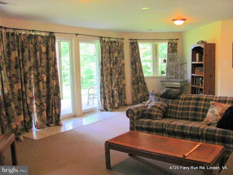 4725 Fiery Run Road Linden, VA 22642 - Photo 23 of 30 Basement