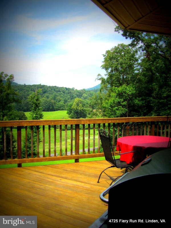 4725 Fiery Run Road Linden, VA 22642 - Photo 27 of 30 Exterior (Front)