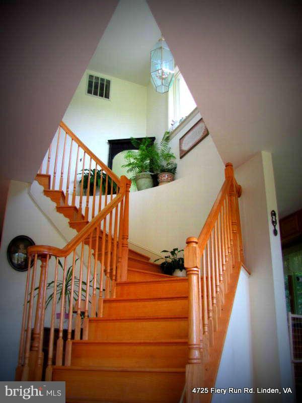 4725 Fiery Run Road Linden, VA 22642 - Photo 10 of 30 Interior (General)