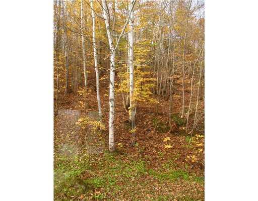 148 Station Road Sherman, ME 04776 - Photo 9 of 10 Yard/Garden.