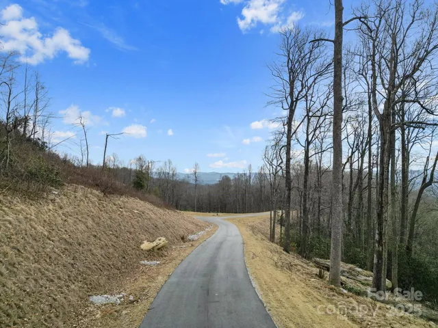 a view of a pathway with a wrought fence