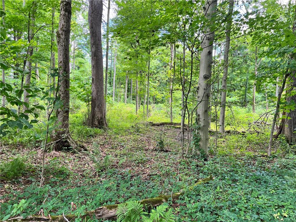 0 Strausser Road Jackson Center, PA 16133 - Photo 2 of 6 a view of outdoor space and green space