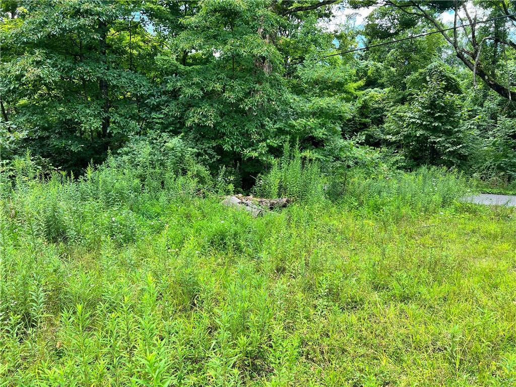 0 Strausser Road Jackson Center, PA 16133 - Photo 3 of 6 a view of a lush green space