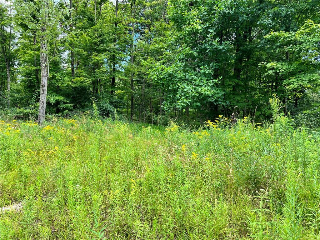 0 Strausser Road Jackson Center, PA 16133 - Photo 4 of 6 a view of a lush green forest
