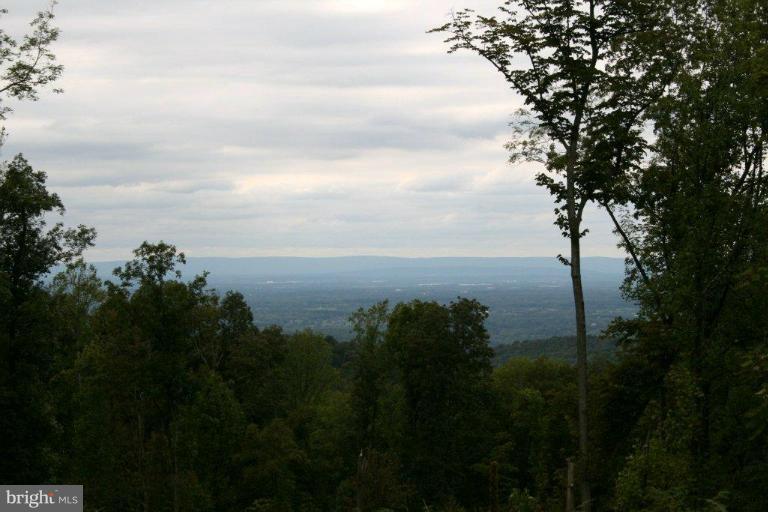 3 Blue Ridge Mountain Road Bluemont, VA 20135 - Photo 2 of 15 Exterior (General)