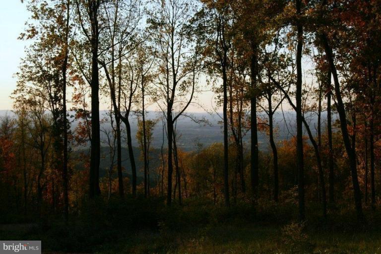 3 Blue Ridge Mountain Road Bluemont, VA 20135 - Photo 11 of 15 View