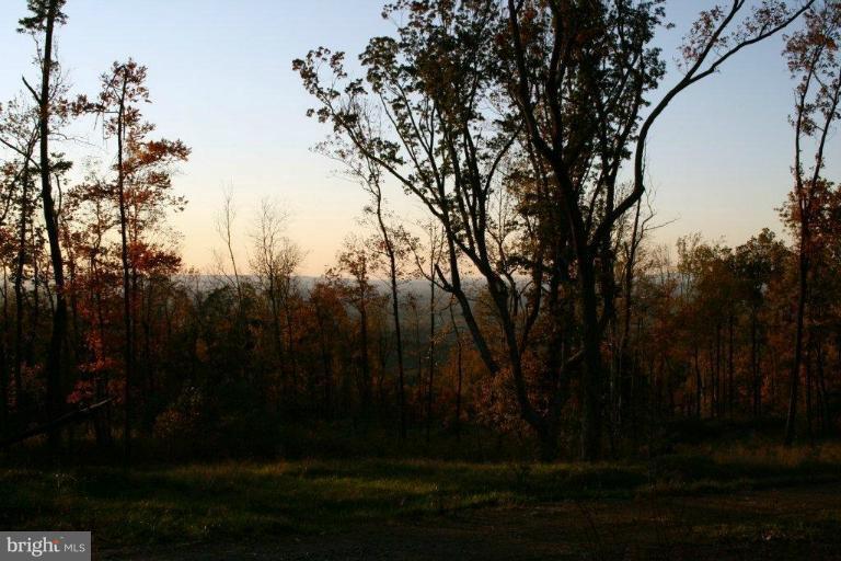 3 Blue Ridge Mountain Road Bluemont, VA 20135 - Photo 13 of 15 View