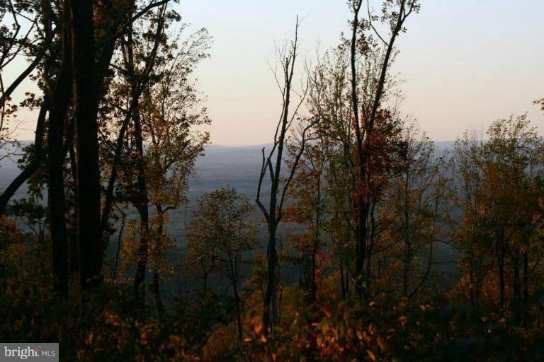 3 Blue Ridge Mountain Road Bluemont, VA 20135 - Photo 14 of 15 View