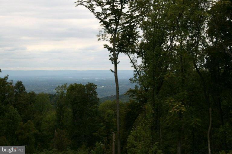 3 Blue Ridge Mountain Road Bluemont, VA 20135 - Photo 4 of 15 Exterior (General)