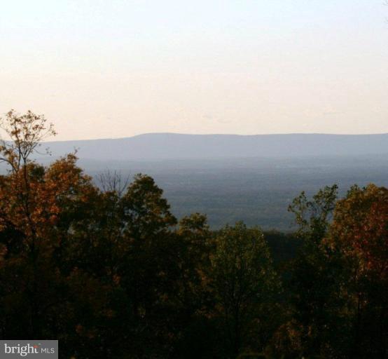3 Blue Ridge Mountain Road Bluemont, VA 20135 - Photo 7 of 15 View
