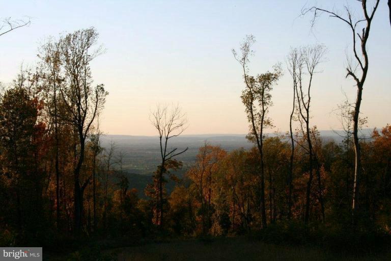 3 Blue Ridge Mountain Road Bluemont, VA 20135 - Photo 9 of 15 View