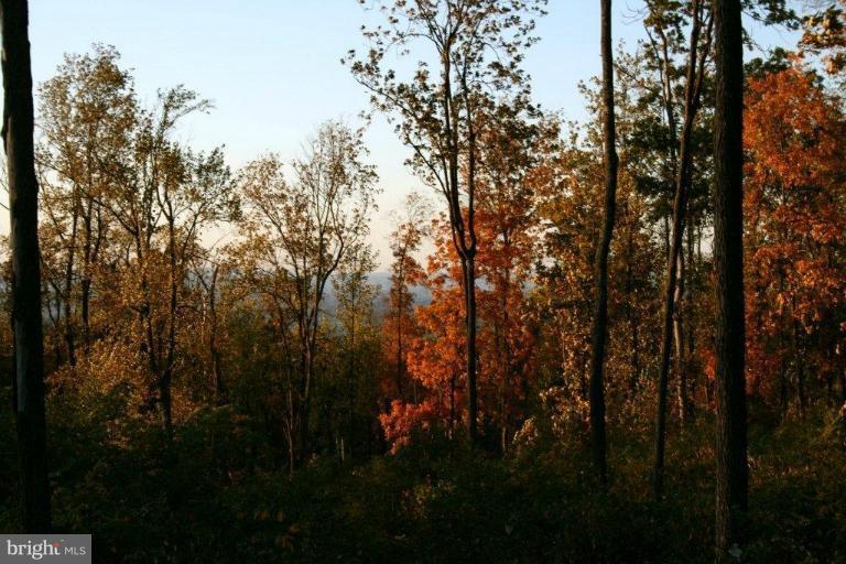 3 Blue Ridge Mountain Road Bluemont, VA 20135 - Photo 10 of 15 View