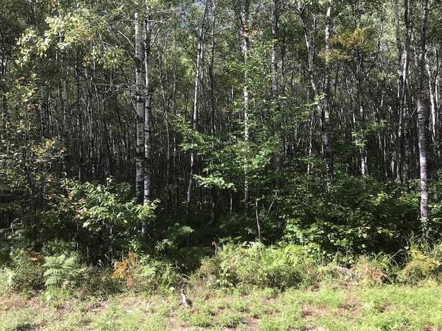 Lot 12 Autumn Lane Rhinelander, WI 54501 - Photo 4 of 6 Gallery Image 4