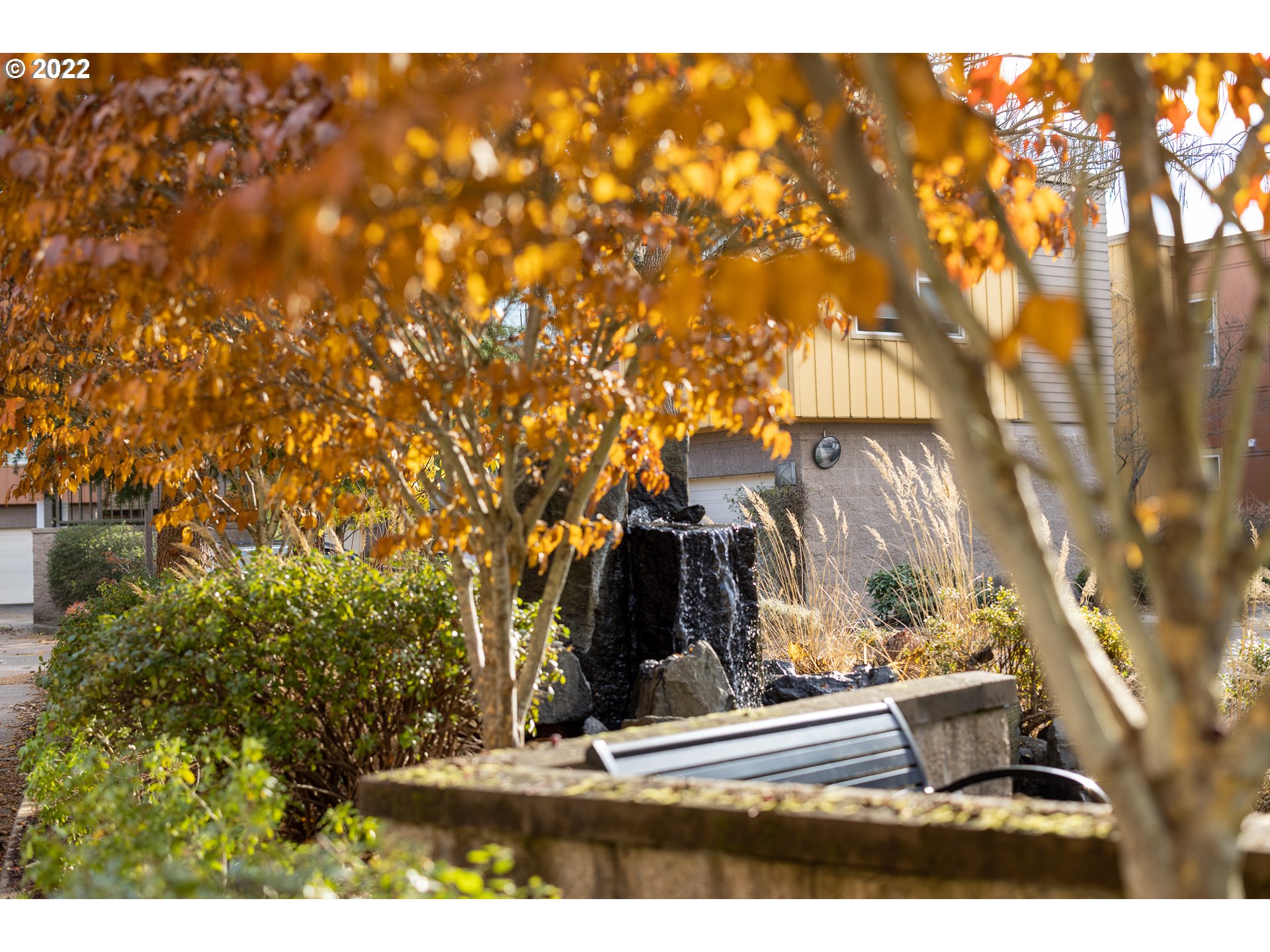 347 Rustic Place, Unit 8 Eugene, OR 97401 - Photo 29 of 31 a view of outdoor space and yard