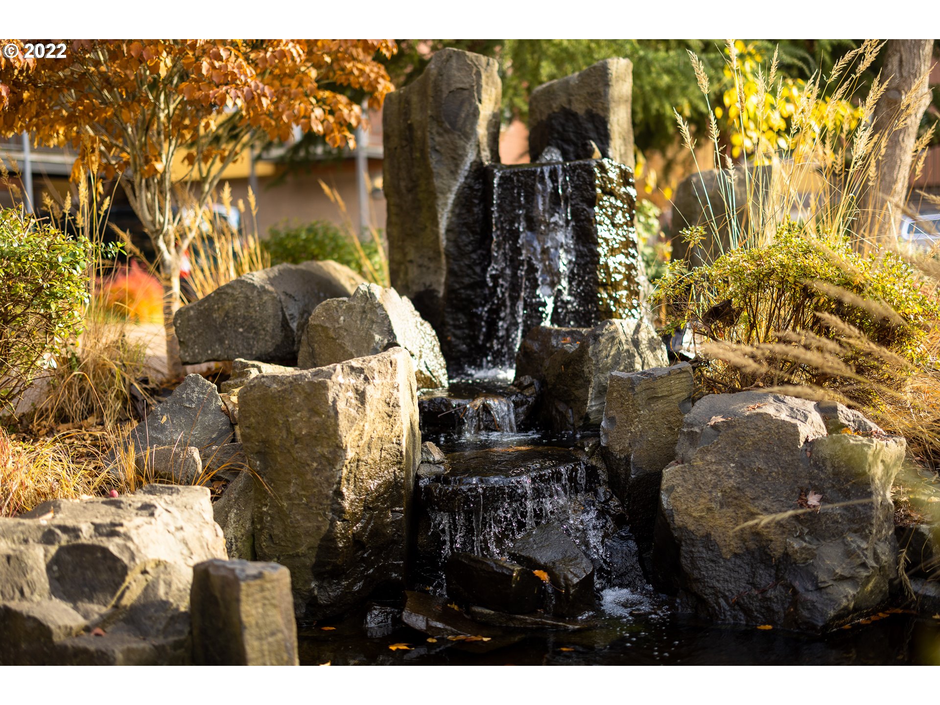 347 Rustic Place, Unit 8 Eugene, OR 97401 - Photo 30 of 31 a bird view of water heater and covered with wooden wall