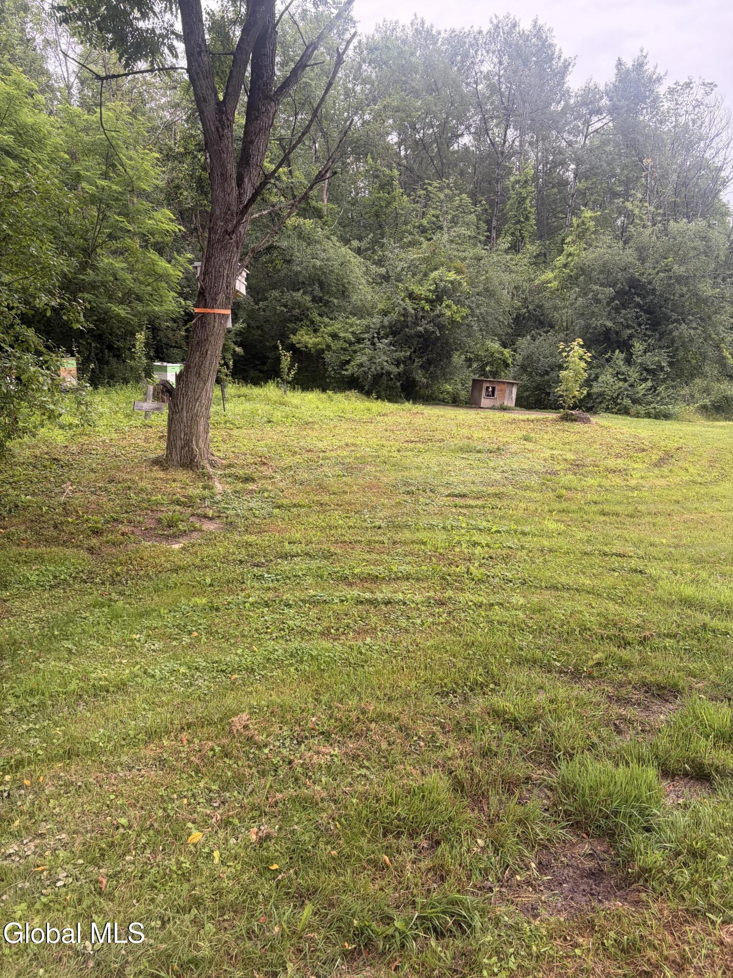 38 Patterson Road Fort Edward, NY 12828 - Photo 20 of 29 IMG_2126