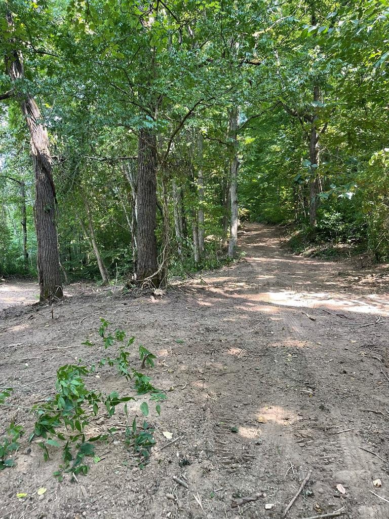 0 Idumea Road Corryton, TN 37721 - Photo 3 of 27 Gallery Image 3