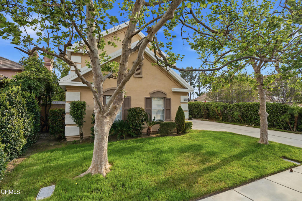 11543 Ragusa Drive Rancho Cucamonga, CA 91701 - Photo 4 of 69 a front view of a house with a yard and trees